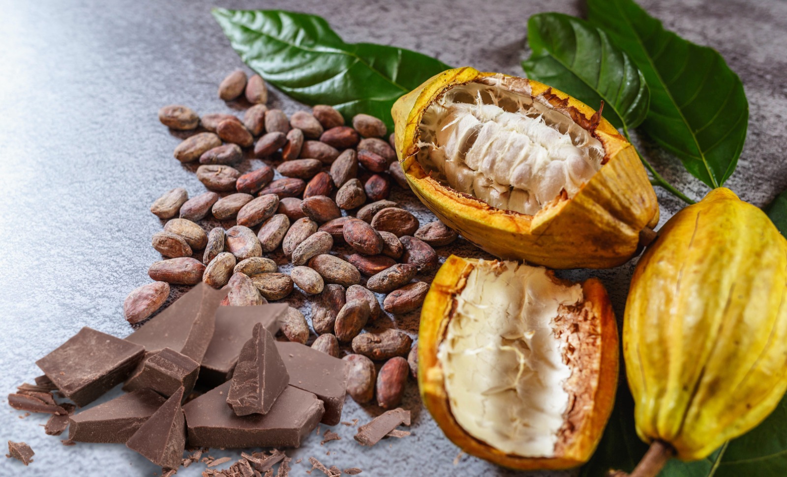 Proceso de Cacao