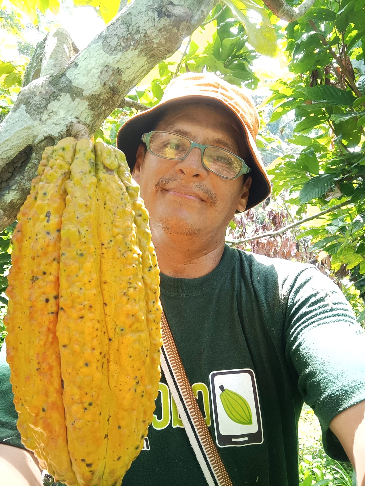 Finca 3