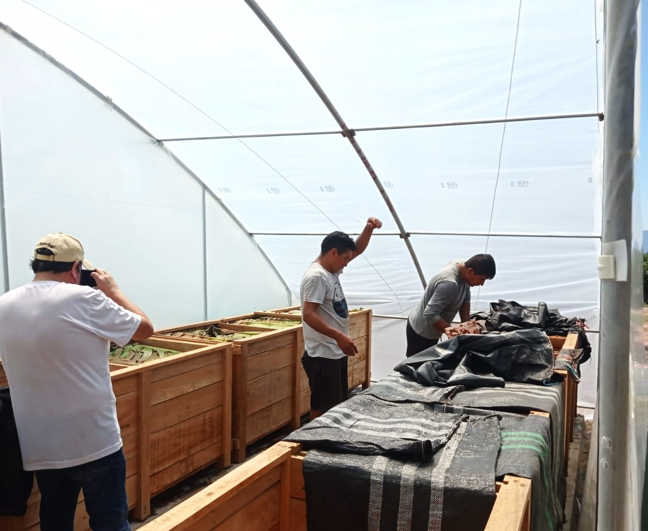 Finca 7